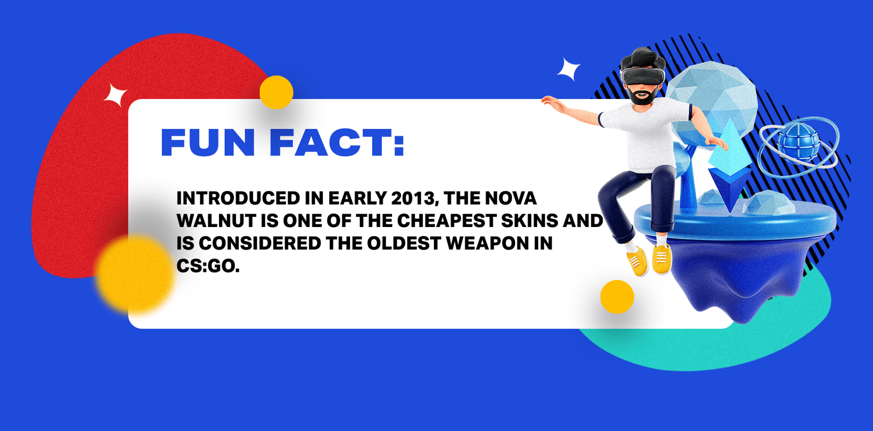 Fun fact infographic