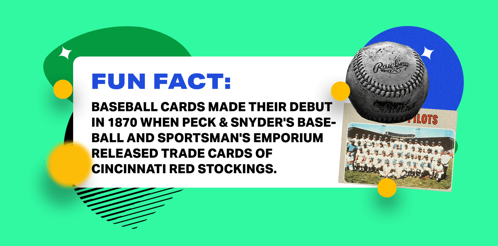Fun fact graphic