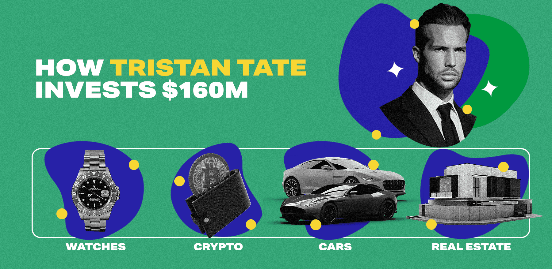 Tristan Tate Net Worth Infographic
